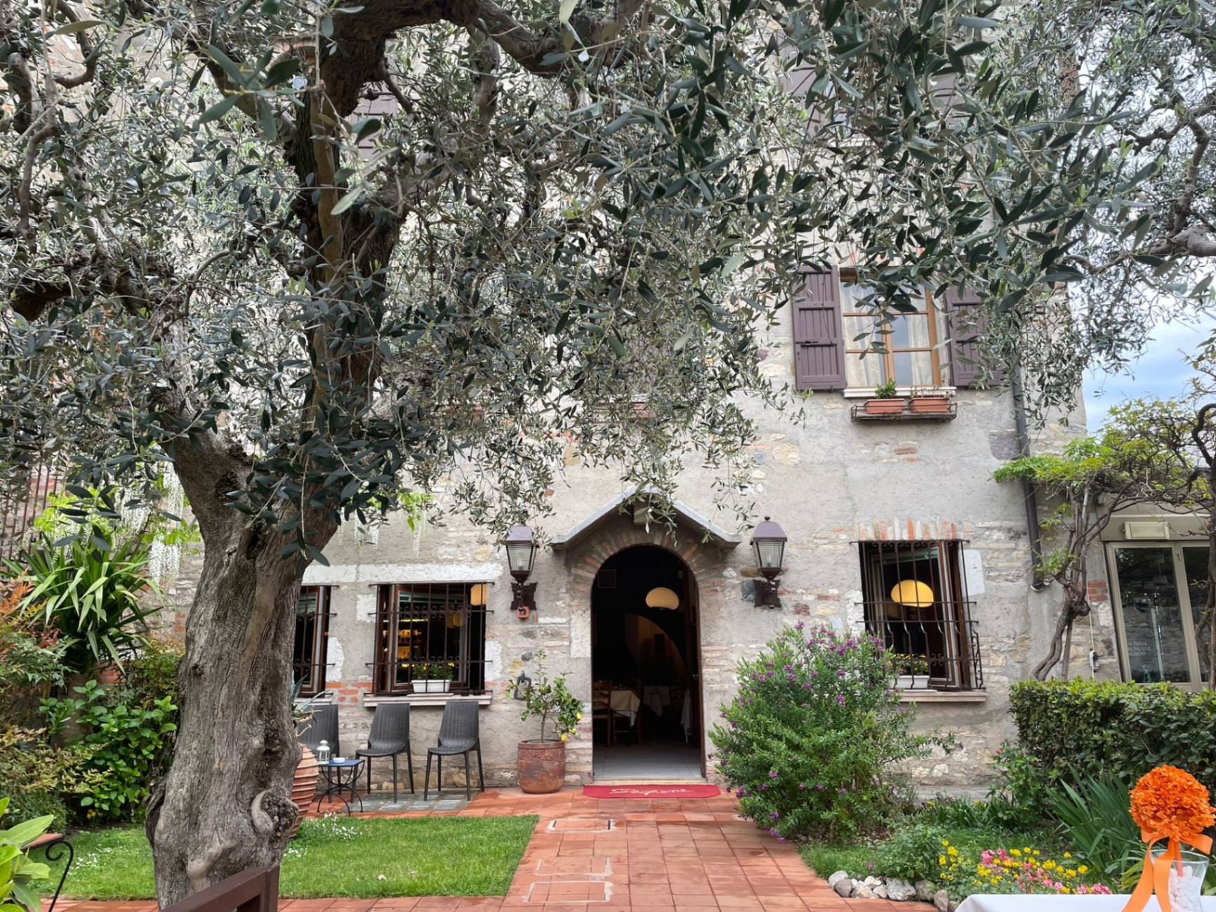 Facciata in pietra del Ristorante Il Grifone con un grande ulivo secolare, a Sirmione sul Lago di Garda